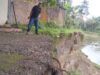 Rumah warga Korong Kampung Kandang