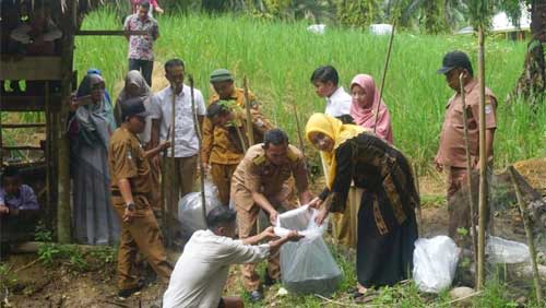 Bantuan 5.000 Bibit Ikan Nila