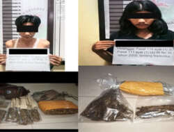 Satresnarkoba Polres Dharmasraya Amankan Dua Tersangka Narkotika