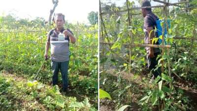 Taufik Ajak Petani Kembali Gunakan Pupuk Organik