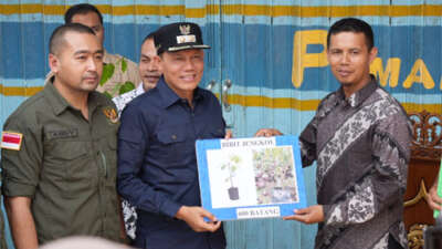 Wagub Sumbar Serahkan Bantuan Lebah Madu dan Bibit Jengkol di Pasaman