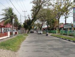 Masyarakat Minta Blh Kota Pariaman Pangkas Pohon Di Jalan Agus Salim
