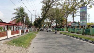 Masyarakat Minta BLH Kota Pariaman Pangkas Pohon di Jalan Agus Salim
