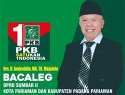 Amiruddin Tuanku Majo Lelo, Bacaleg DPRD Sumbar Dua dari PKB