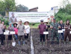 Kendalikan Inflasi, Pemkot Batu Tanam 5.000 Bibit Cabai di Desa Temas