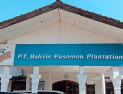 PT BPP Akan Verzet Putusan Verstek PN Pasbar Terkait Gugatan Keltan Bukit Intan Sikabau