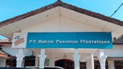 PT BPP Akan Verzet Putusan Verstek PN Pasbar Terkait Gugatan Keltan Bukit Intan Sikabau