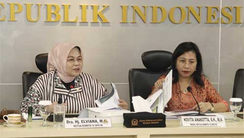 Ketua Komite IV DPD RI, Elviana saat rapat kerja dengan BPKP dan BPS di Gedung DPD RI