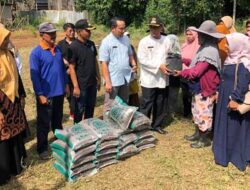 Pj Walikota Payakumbuh Serahkan Bantuan 200 Batang Bibit Cabai Dan 20 Kg Pupuk