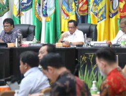 Kendalikan Harga Layanan Penerbangan, Mendagri Minta Pemda Bantu Jaga Keterisian Penumpang