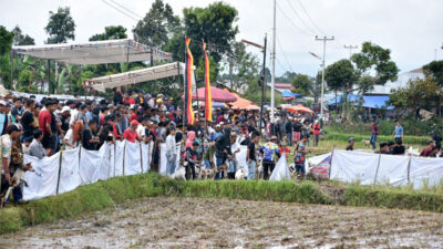 Ribuan Peserta Padati Alek Gadang Buru Babi di Tilatang Kamang