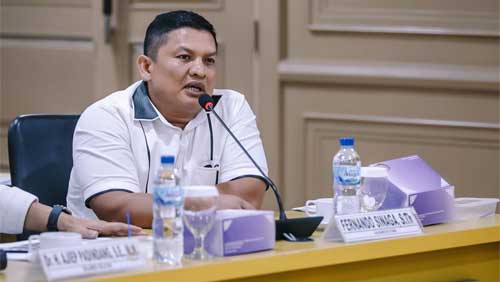 Anggota Tim Kerja (Timja) Komite I Dewan Perwakilan Daerah Republik Indonesia (DPD RI), Fernando Sinaga