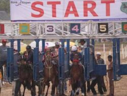 Open Race Pacu Kuda Payakumbuh 2023