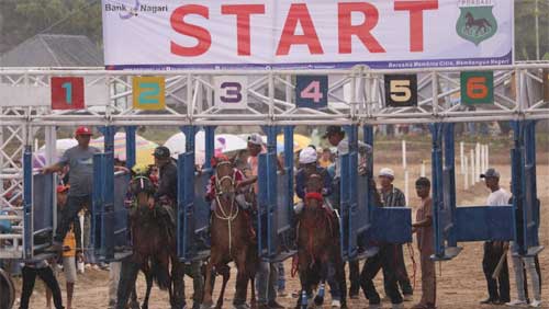 Apakah Payakumbuh Saat Ini Dijabat Dua Walikota? 1 Open Race Pacu Kuda Payakumbuh 2023