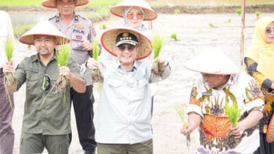 Perkuat Produksi dan Hilirisasi Pertanian Sumbar, Wamentan Serahkan Bantuan di Padang Pariaman