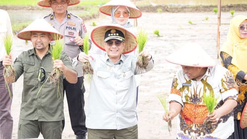 Wakil Menteri Pertanian, Harvick Hasnul Qolbi didampingi Wakil Gubernur Sumatera Barat, Audy Joinaldy dan Bupati Padang Pariaman, Suhatri Bur melakukan penanaman padi secara simbolis sebagai penanda mulainya musim tanam