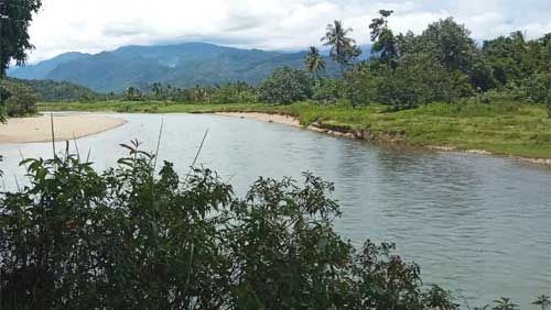 Kondisi Batang Bayang di Kampung Lubuk Begalung