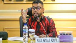 Senator dari Papua Barat, Filep Wamafma