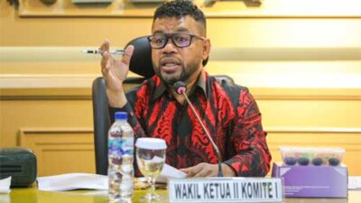 Soal CSR LNG Tangguh di Papua, Ini Kata Senator Filep Wamafma