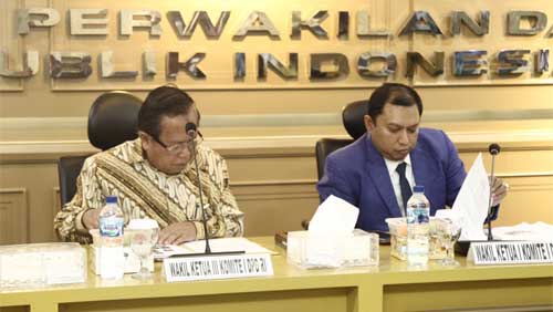 Wakil Ketua Komite DPD RI