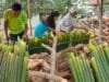 Warga Lubuk Basung malamang