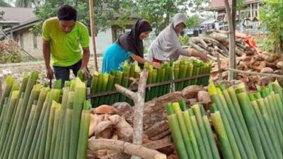 Warga Lubuk Basung Sambut Ramadan dengan Tradisi Malamang