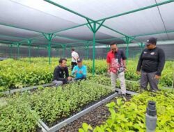 SBANL Usul Buka Akses Pariwisata dan Pendidikan di Lokasi Persemaian Modern Batuputih Bitung, Menteri Langsung Respon