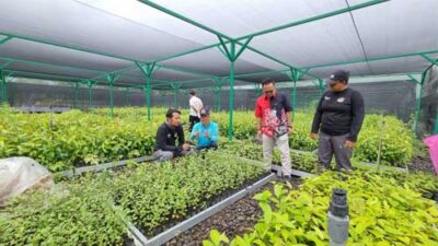 SBANL Usul Buka Akses Pariwisata dan Pendidikan di Lokasi Persemaian Modern Batuputih Bitung, Menteri Langsung Respon