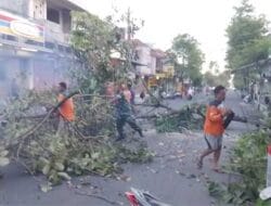 Pohon Setinggi 10 Meter Roboh Tersenggol Truk di Kutoarjo