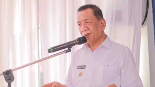 Bupati Pesisir Selatan, Rusma Yul Anwar