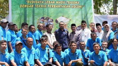 Wagub Audy Optimis Sumbar Bisa Jadi Produsen Utama Madu Trigona
