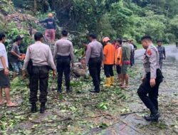 Tim Gabungan Polres Dan Bpbd Dharmasraya Bersihkan Material Longsor Dan Pohon Tumbang Di Sialang
