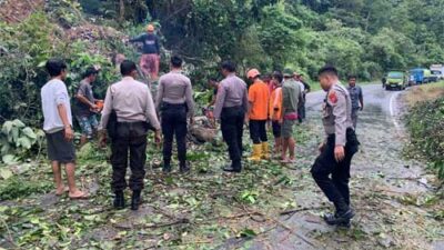 Tim Gabungan Polres dan BPBD Dharmasraya Bersihkan Material Longsor dan Pohon Tumbang di Sialang