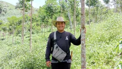 Petani Muda Solok Tony Devisa Kini Budidayakan Tanaman Masoi asal Papua