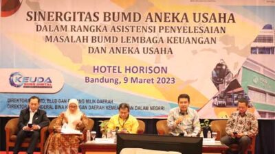 Ini 10 Arahan Penting Tingkatkan Kinerja BUMD dari Dirjen Bina Keuda