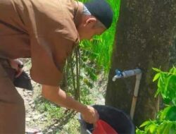 Cegah DBD dengan Lakukan Langkah 3M Plus Ini