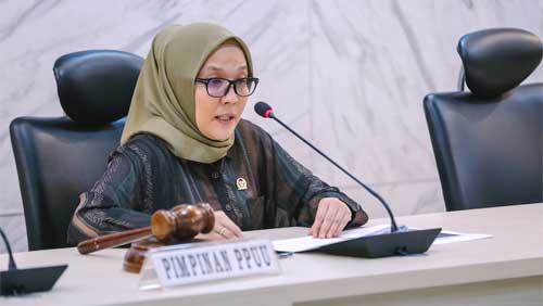 Wakil Ketua PPUU DPD RI, Aji Mirni Mawarni