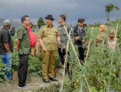 Dua Tahun Masa Jabatan Bupati Solok, Ekonomi Kian Naik, Kemiskinan Semakin Menurun