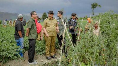Dua Tahun Masa Jabatan Bupati Solok, Ekonomi Kian Naik, Kemiskinan Semakin Menurun