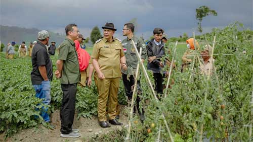 Bupati Solok H. Epyardi Asda tinjau lahan pertanian warga