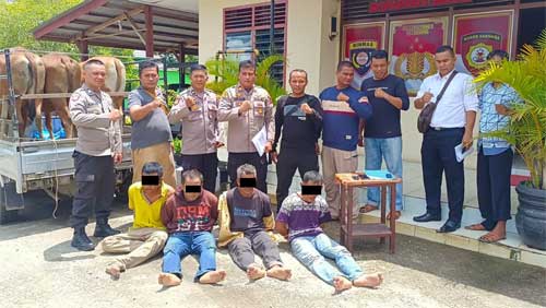 Polres Dharmasraya Tangkap Tersangka Komplotan Pencuri Ternak di Tebo, Jambi