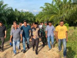 Senator Haji Uma Kunjungi Lokasi Kemunculan Harimau Di Aceh Timur