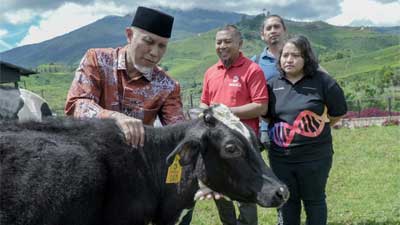 Inovasi MOET dan Genetic Screening Peternakan Sapi Moosa Edufarm Solok Berhasil 1 Gubernur Sumatera Barat, Mahyeldi Ansharullah di Peternakan Sapi Moosa Edufarm, Solok