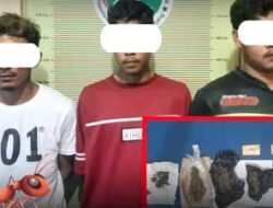 Polisi Ringkus Tiga Warga Panyalaian, Terduga Pengedar Ganja