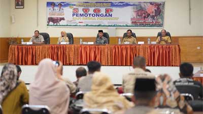 Sosialisasi Larangan Pemotongan Hewan Betina Produktif