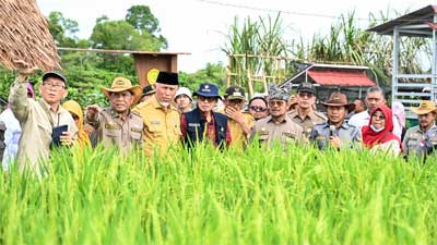 Kesiapan Lokasi Penyelenggaraan Penas Tani XVI di Padang sudah 90 Persen 1 Menteri Pertanian (Mentan) RI, Syahrul Yasin Limpo tinjau persiapan Pekan Nasional (Penas) Kontak Tani Nelayan Andalan XVI tahun 2023, atau Penas Tani, di Lapangan Udara (Lanud) Sutan Sjahrir di Kota Padang
