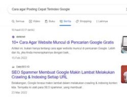 Begini Cara agar Posting Cepat Terindex Google
