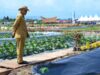Gubernur Sumbar Tinjau Berbagai Persiapan Penas Tani XVI