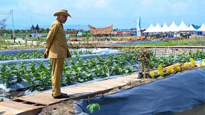 Gubernur Sumbar Tinjau Berbagai Persiapan Penas Tani XVI