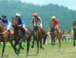 10 Kelas Pacu Kuda Pra Pon Xxi 2024 Aceh-Sumut Digelar Di Sawahlunto, Simak Jadwalnya